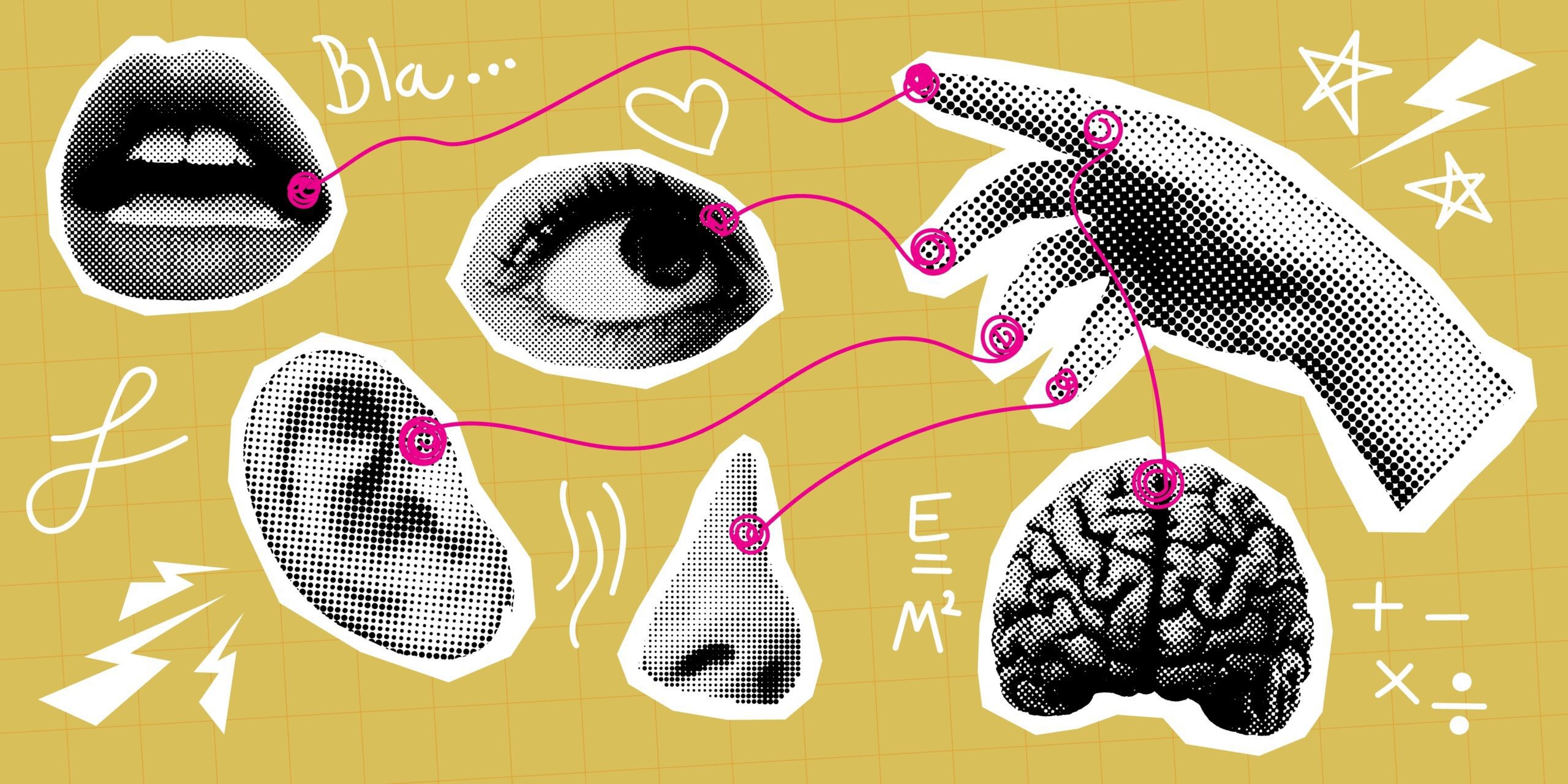 senses used for ghost detection